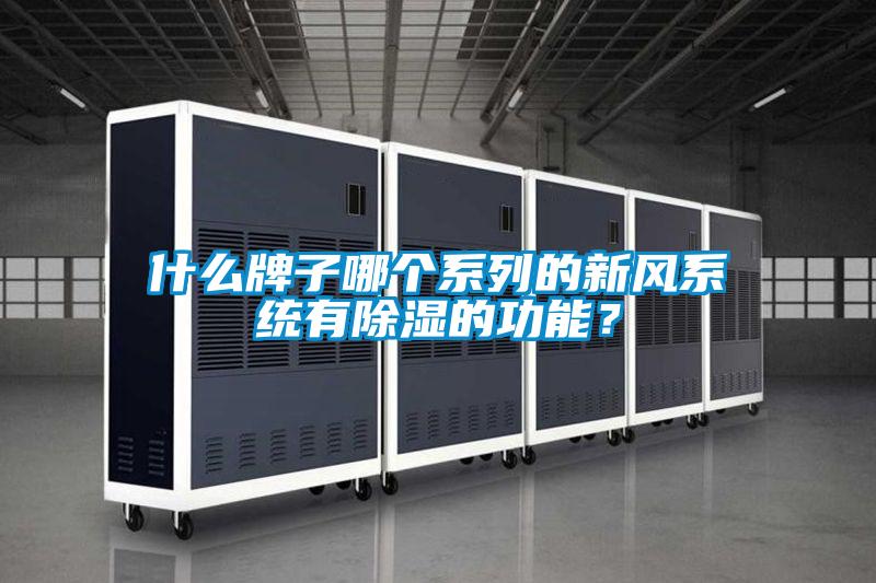 什么牌子哪個系列的新風(fēng)系統(tǒng)有除濕的功能？