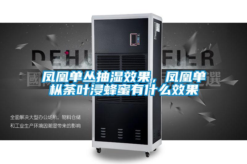 鳳凰單叢抽濕效果，鳳凰單樅荼葉浸蜂蜜有什么效果