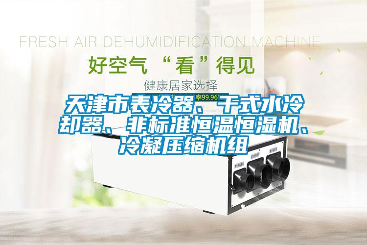 天津市表冷器、干式水冷卻器、非標(biāo)準(zhǔn)恒溫恒濕機(jī)、冷凝壓縮機(jī)組