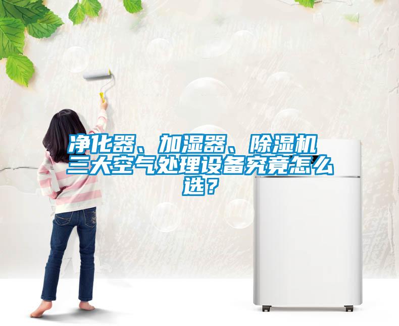 凈化器、加濕器、除濕機(jī) 三大空氣處理設(shè)備究竟怎么選？