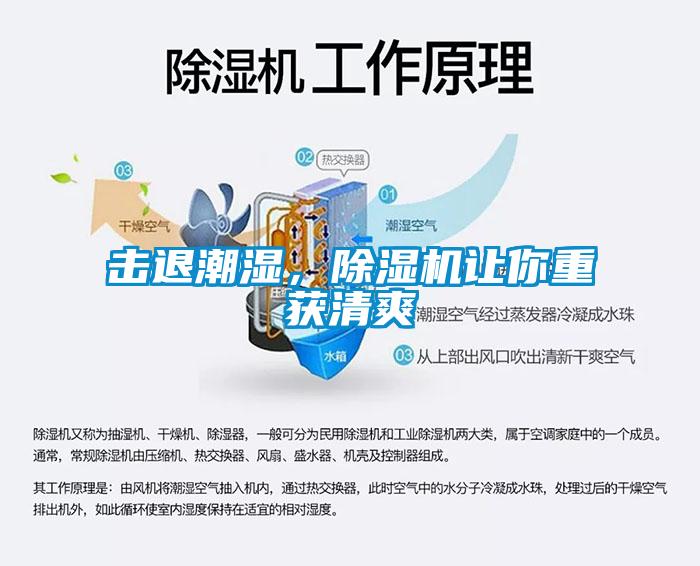 擊退潮濕，除濕機讓你重獲清爽
