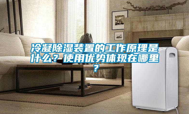 冷凝除濕裝置的工作原理是什么？使用優(yōu)勢體現在哪里？