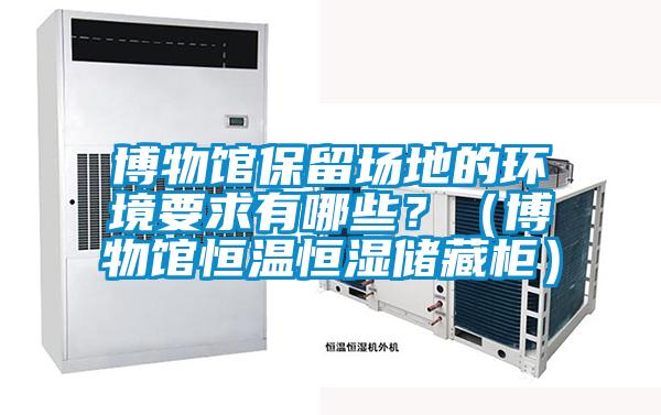 博物館保留場(chǎng)地的環(huán)境要求有哪些？（博物館恒溫恒濕儲(chǔ)藏柜）
