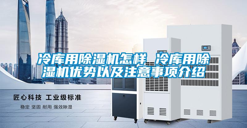 冷庫用除濕機(jī)怎樣 冷庫用除濕機(jī)優(yōu)勢(shì)以及注意事項(xiàng)介紹