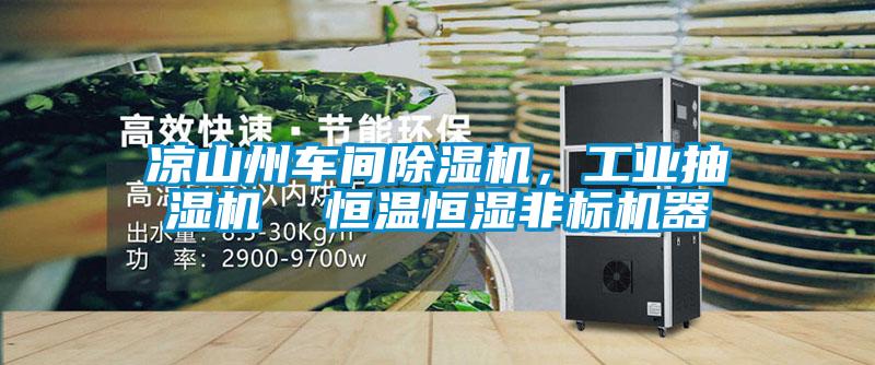 涼山州車間除濕機(jī)，工業(yè)抽濕機(jī)  恒溫恒濕非標(biāo)機(jī)器