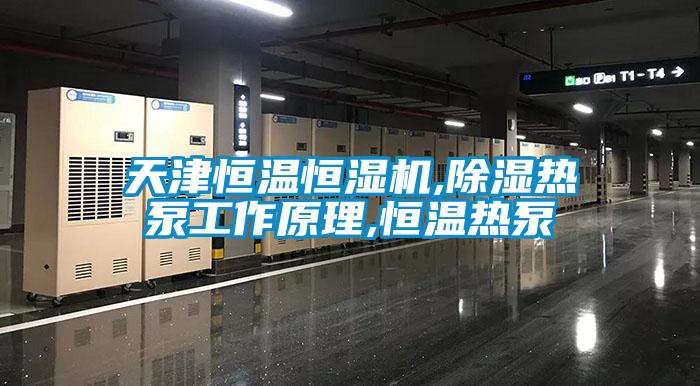 天津恒溫恒濕機,除濕熱泵工作原理,恒溫?zé)岜?/></p>
						    <p style=