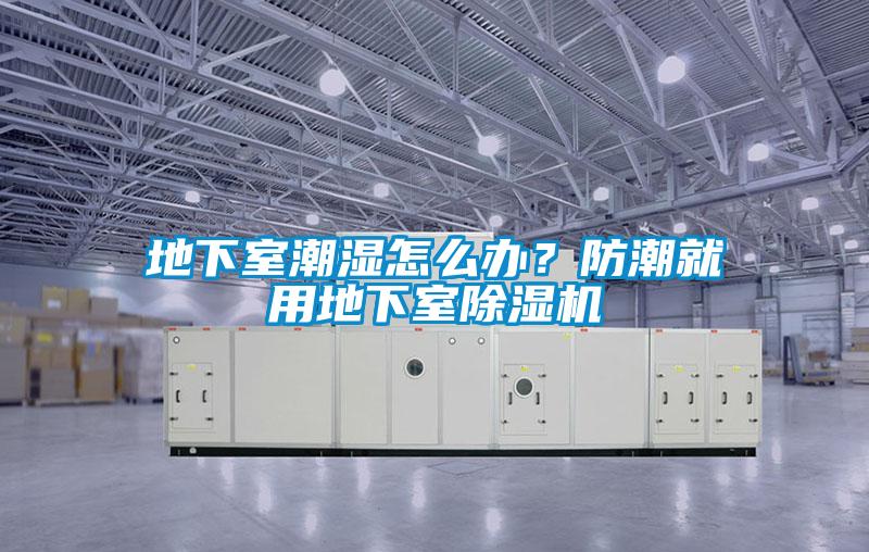 地下室潮濕怎么辦？防潮就用地下室除濕機(jī)