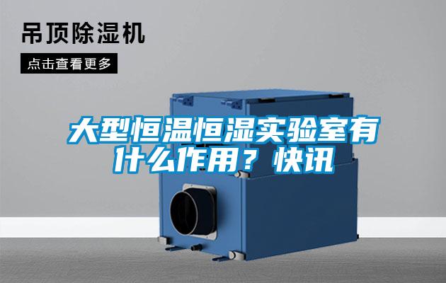 大型恒溫恒濕實(shí)驗(yàn)室有什么作用？快訊