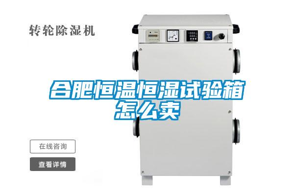 合肥恒溫恒濕試驗(yàn)箱怎么賣
