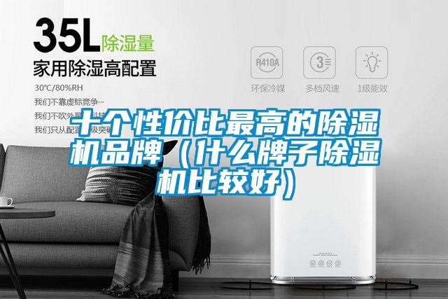 十個性價比最高的除濕機(jī)品牌（什么牌子除濕機(jī)比較好）