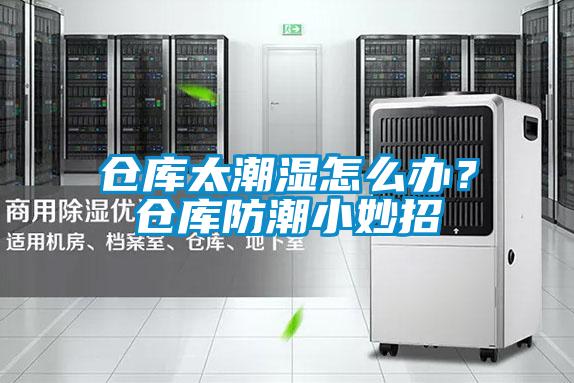 倉(cāng)庫(kù)太潮濕怎么辦？倉(cāng)庫(kù)防潮小妙招