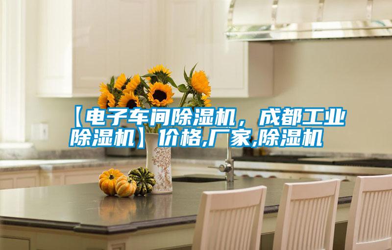 【電子車間除濕機，成都工業(yè)除濕機】價格,廠家,除濕機