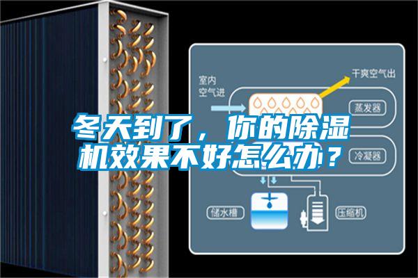 冬天到了，你的除濕機(jī)效果不好怎么辦？