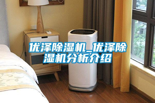 優(yōu)澤除濕機_優(yōu)澤除濕機分析介紹