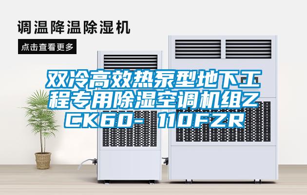 雙冷高效熱泵型地下工程專(zhuān)用除濕空調(diào)機(jī)組ZCK60- 110FZR