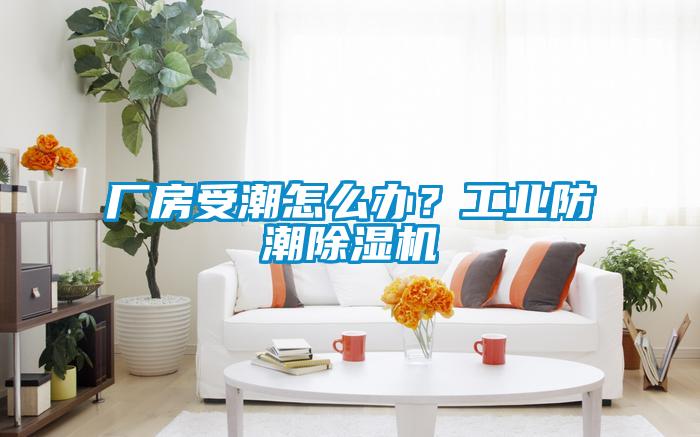 廠房受潮怎么辦？工業(yè)防潮除濕機(jī)