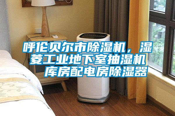 呼倫貝爾市除濕機，濕菱工業(yè)地下室抽濕機  庫房配電房除濕器