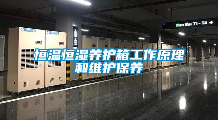 恒溫恒濕養(yǎng)護箱工作原理和維護保養(yǎng)