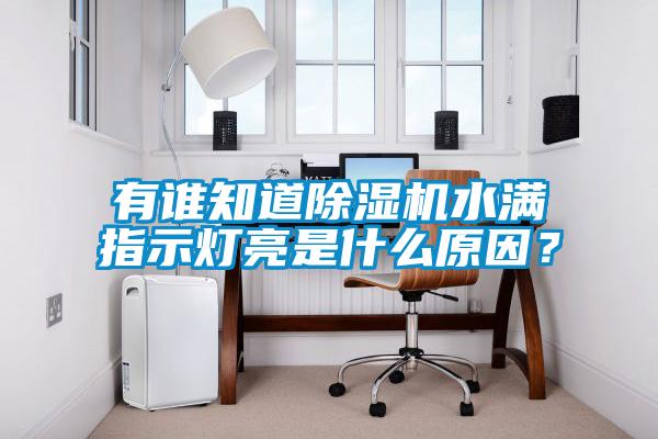 有誰知道除濕機(jī)水滿指示燈亮是什么原因？