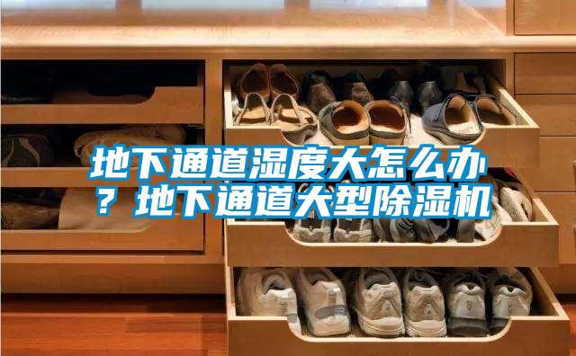 地下通道濕度大怎么辦？地下通道大型除濕機(jī)