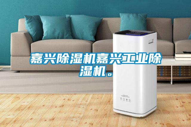 嘉興除濕機(jī)嘉興工業(yè)除濕機(jī)。