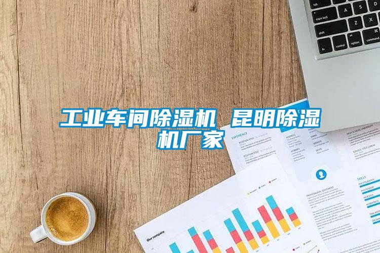 工業(yè)車(chē)間除濕機(jī) 昆明除濕機(jī)廠(chǎng)家