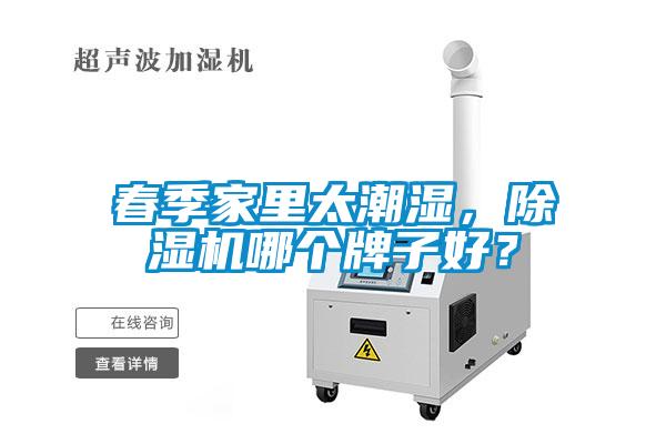 春季家里太潮濕，除濕機哪個牌子好？