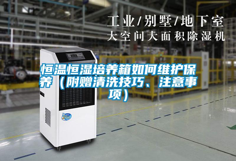 恒溫恒濕培養(yǎng)箱如何維護保養(yǎng)（附贈清洗技巧、注意事項）