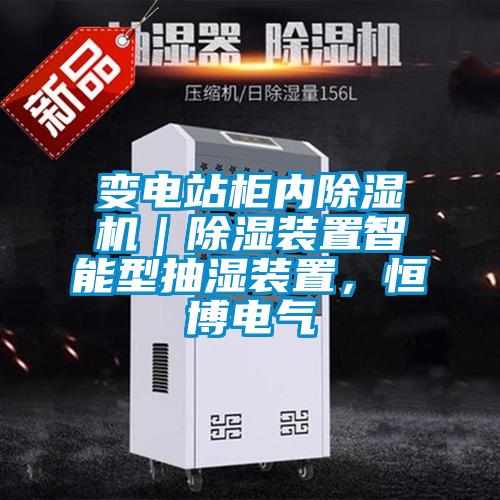 變電站柜內(nèi)除濕機(jī)｜除濕裝置智能型抽濕裝置，恒博電氣