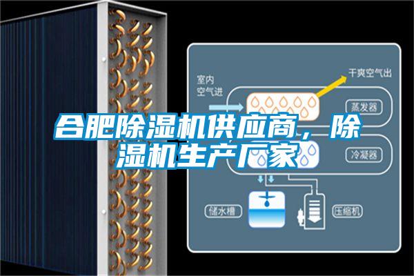 合肥除濕機供應(yīng)商，除濕機生產(chǎn)廠家
