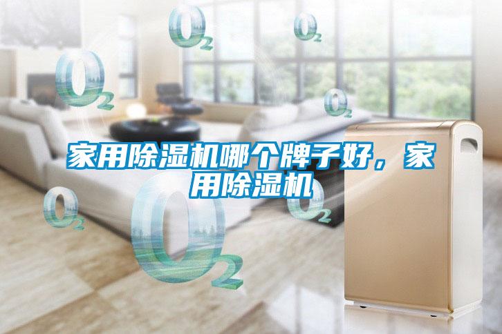 家用除濕機(jī)哪個(gè)牌子好，家用除濕機(jī)