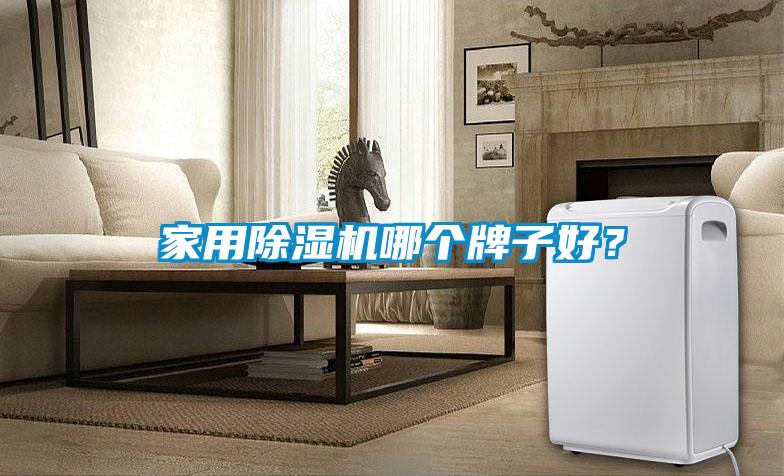 家用除濕機哪個牌子好？