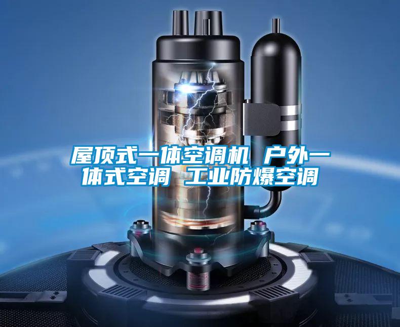 屋頂式一體空調(diào)機 戶外一體式空調(diào) 工業(yè)防爆空調(diào)