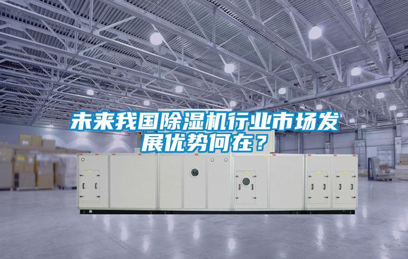 未來我國(guó)除濕機(jī)行業(yè)市場(chǎng)發(fā)展優(yōu)勢(shì)何在？