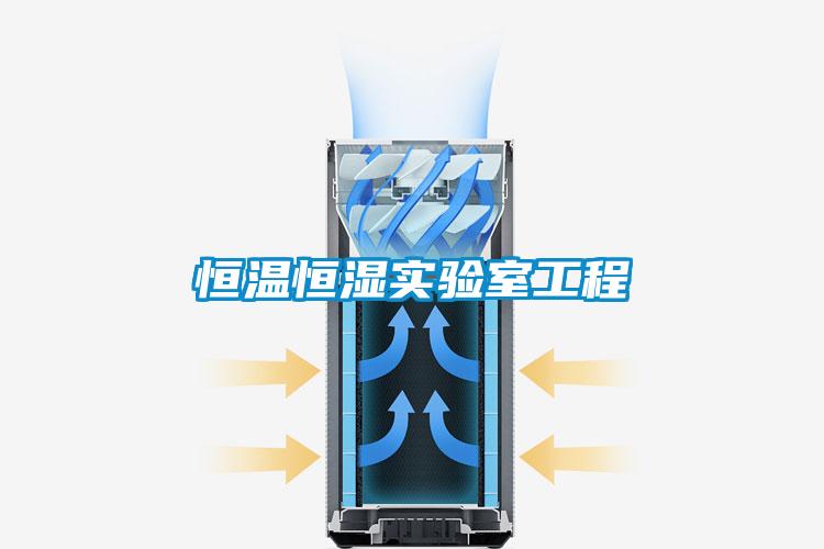 恒溫恒濕實(shí)驗(yàn)室工程