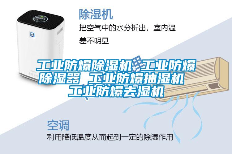 工業(yè)防爆除濕機(jī) 工業(yè)防爆除濕器 工業(yè)防爆抽濕機(jī) 工業(yè)防爆去濕機(jī)