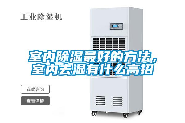 室內(nèi)除濕最好的方法，室內(nèi)去濕有什么高招
