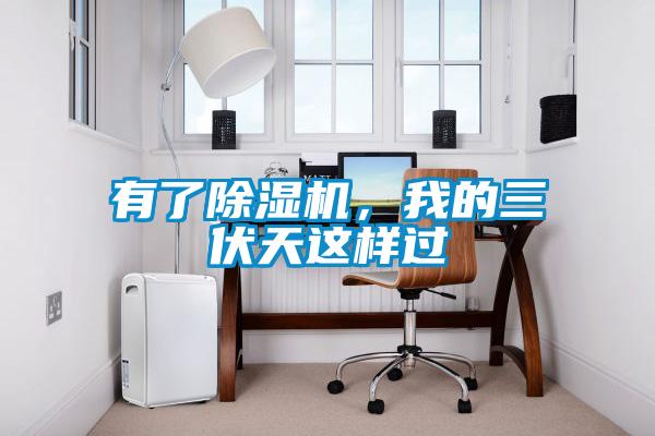 有了除濕機，我的三伏天這樣過
