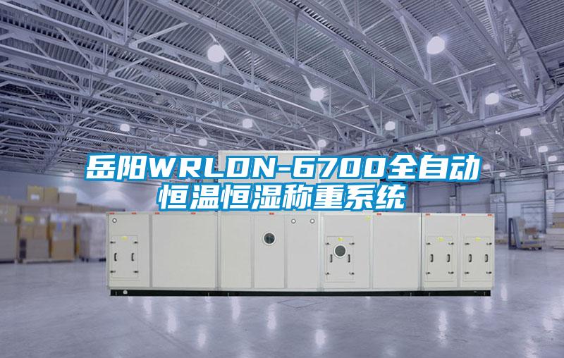 岳陽(yáng)WRLDN-6700全自動(dòng)恒溫恒濕稱(chēng)重系統(tǒng)
