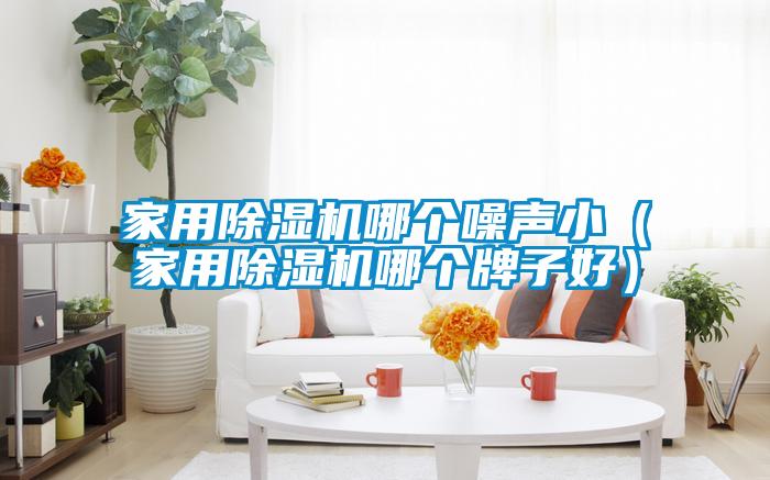 家用除濕機(jī)哪個(gè)噪聲?。矣贸凉駲C(jī)哪個(gè)牌子好）
