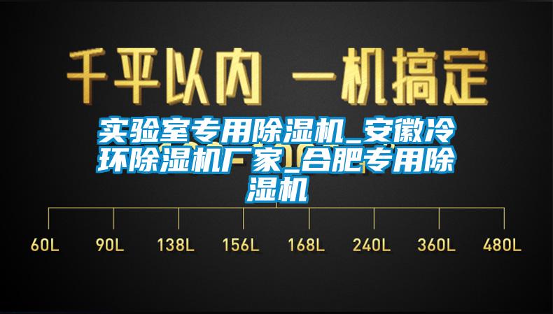實驗室專用除濕機_安徽冷環(huán)除濕機廠家_合肥專用除濕機