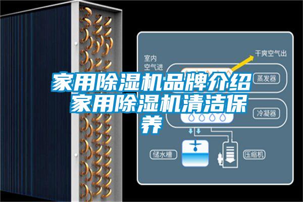 家用除濕機(jī)品牌介紹 家用除濕機(jī)清潔保養(yǎng)
