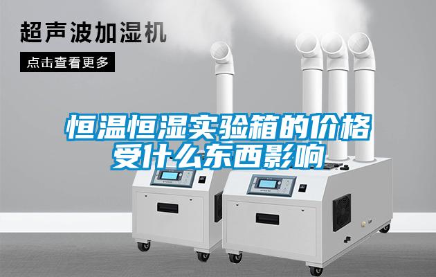 恒溫恒濕實(shí)驗(yàn)箱的價(jià)格受什么東西影響