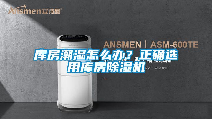 庫房潮濕怎么辦？正確選用庫房除濕機