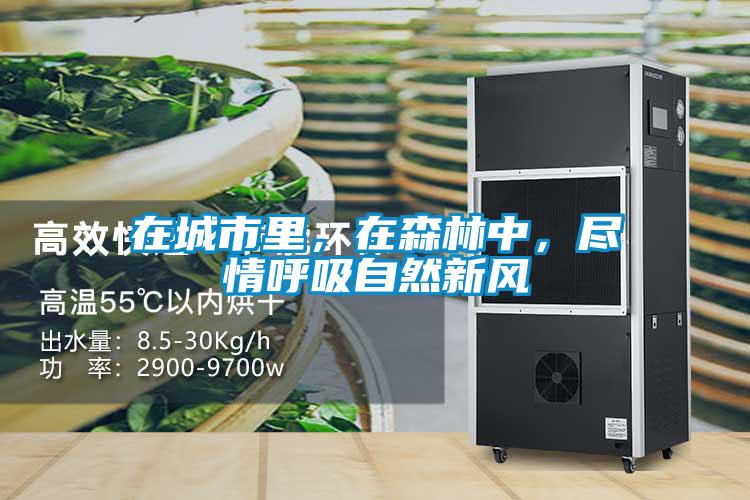 在城市里，在森林中，盡情呼吸自然新風(fēng)