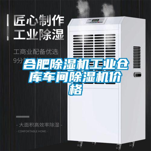 合肥除濕機(jī)工業(yè)倉庫車間除濕機(jī)價格