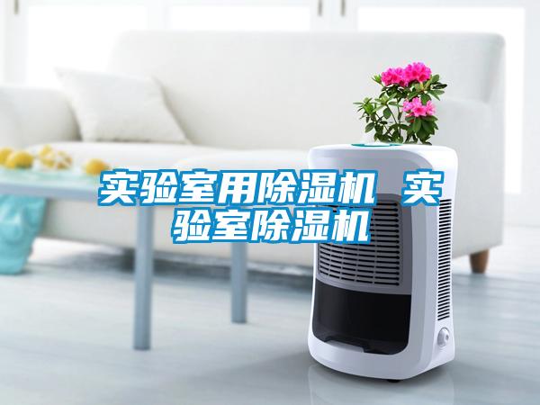 實驗室用除濕機(jī) 實驗室除濕機(jī)