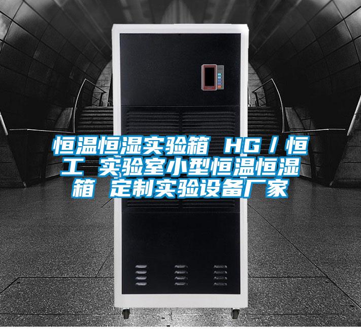 恒溫恒濕實驗箱 HG／恒工 實驗室小型恒溫恒濕箱 定制實驗設(shè)備廠家