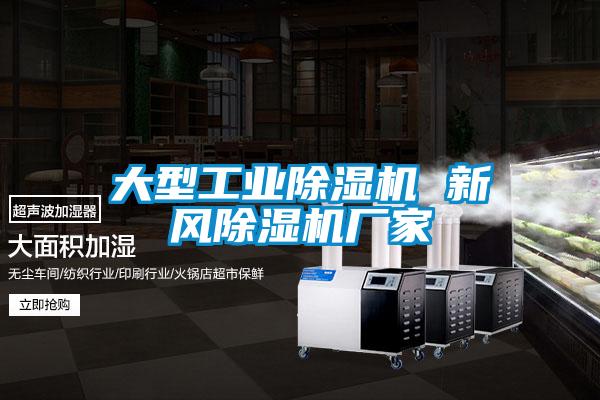 大型工業(yè)除濕機 新風(fēng)除濕機廠家