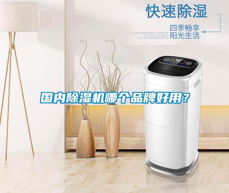 國內(nèi)除濕機(jī)哪個(gè)品牌好用？